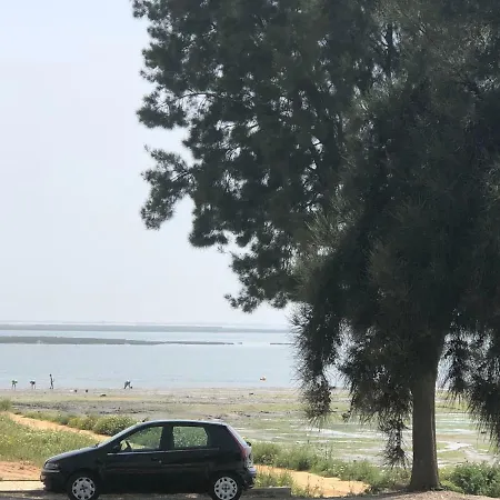 Cavalo Marinho *