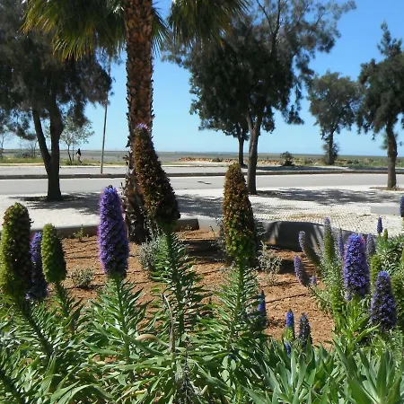 Apartment Cavalo Marinho